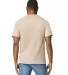 Gildan 65000 Unisex Softstyle Midweight T-Shirt in Sand back view