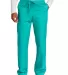 Wonder Wink WW3150 WonderWink   Unisex WorkFlex    Teal front view