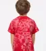 Dyenomite 330CR Toddler Crystal Tie-Dyed T-Shirt in Red back view