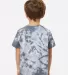 Dyenomite 330CR Toddler Crystal Tie-Dyed T-Shirt in Silver back view