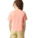 Comfort Colors 3023CL Women's Heavyweight Boxy T-S in Peachy back view