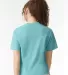 Comfort Colors T-Shirts  3023CL Women's Heavyweigh Chalky Mint back view