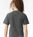Comfort Colors T-Shirts  3023CL Women's Heavyweigh Pepper back view