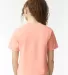 Comfort Colors T-Shirts  3023CL Women's Heavyweigh Peachy back view