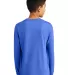 District Clothing DT132Y District Youth Perfect Tr RoyalFrost back view