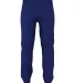 Alleson Athletic A00224 Youth Crush Premier Baseba in Royal back view