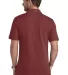 Brooks Brothers BB18200  Pima Cotton Pique Polo in Richred back view