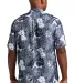 Tommy Bahama ST325929TB LIMITED EDITION  Coconut P in Bluenote back view