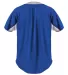 Alleson Athletic 566BFJ Crush Full Button Baseball in Royal/ grey back view
