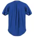 Alleson Athletic 566BFJ Crush Full Button Baseball in Royal back view