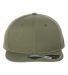 Atlantis Headwear JAMES Sustainable Flat Bill Cap in Olive