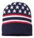 Cap America RK12 USA-Made Patriotic Cuffed Beanie in Navy flag back view