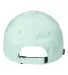 Legacy CFA Cool Fit Adjustable Cap in Light mint back view