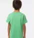 Kastlfel 2015 Youth RecycledSoft™ T-Shirt in Green back view
