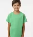 Kastlfel 2015 Youth RecycledSoft™ T-Shirt in Green front view