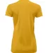 Paragon 204 Women's Islander Performance T-Shirt in Gold back view