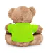 Promo Goods  TY6020 7 Plush Bear With T-Shirt in Lime green back view