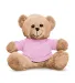 Promo Goods  TY6020 7 Plush Bear With T-Shirt in Pink front view