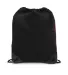 Promo Goods  LT-3366 Microfiber String Backpack in Black/ red back view
