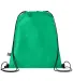 Promo Goods  BG118 Conserve Rpet Non-Woven Drawstr in Green front view