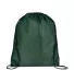 Promo Goods  BG100 Cinch-Up Backpack in Hunter green front view