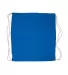 Promo Goods  BG400 Cotton Canvas Drawstring Backpa in Reflex blue back view
