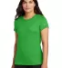 Nike NKDX8734  Ladies Swoosh Sleeve rLegend Tee in Applegreen front view