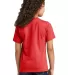 Port & Company PC330Y    Youth Tri-Blend Tee in Brtredhthr back view
