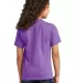 Port & Company PC330Y    Youth Tri-Blend Tee in Tmprphthr back view