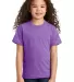 Port & Company PC330Y    Youth Tri-Blend Tee in Tmprphthr front view