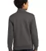 Port & Company PC78YQ    Youth Core Fleece 1/4-Zip in Charcoal back view