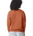 Comfort Colors T-Shirts  1466 Garment Dyed Lightwe in Yam back view
