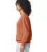 Comfort Colors T-Shirts  1466 Garment Dyed Lightwe in Yam side view