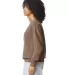 Comfort Colors T-Shirts  1466 Garment Dyed Lightwe in Espresso side view