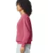 Comfort Colors T-Shirts  1466 Garment Dyed Lightwe in Crimson side view