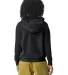 Comfort Colors T-Shirts  1467 Garment Dyed Lightwe in Black back view