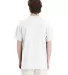 Hanes 5280T Essential-T Tall T-Shirt in White back view