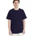 Hanes 5280T Essential-T Tall T-Shirt Catalog catalog view