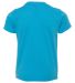 Next Level 6310 Boy's Tri-Blend Crew in Vintage turquoise back view