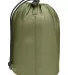 Promo Goods  OD400 Portable Hammock in Green back view