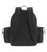 Promo Goods  LB159 Bento Picnic Backpack in Black back view