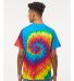 H1000 Tie-Dyes Adult Tie-Dyed Cotton Tee in Reactive rainbow back view