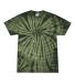 H1000 Tie-Dyes Adult Tie-Dyed Cotton Tee in Spider green front view