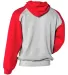 Badger Sportswear 2449 Youth Sport Athletic Fleece in Oxford/ red back view