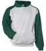 Badger Sportswear 2449 Youth Sport Athletic Fleece Hooded Sweatshirt Catalog catalog view