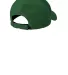 Nike NKFB6447  Dri-FIT Legacy Cap in Gorgegreen back view