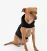 Los Angeles Apparel HF-DOGHOOD DOGSWEATER in Black front view front view