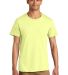 Jerzees 570MR Premium Cotton T-Shirt in Celery juice