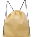 Q-Tees Q1235 Non-Woven Sportpack in Natural back view