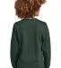 District Clothing DT6104Y District<sup></sup> Yout in Forestgrn back view